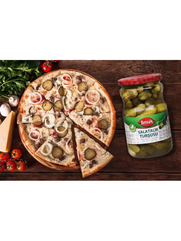 Berrak Salatalık Turşu 340 G (Farshad Zarei)