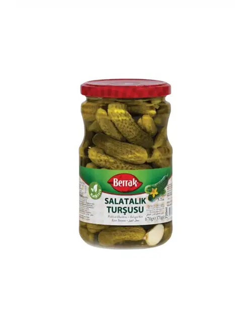 Berrak Salatalık Turşu 340 G (Farshad Zarei)