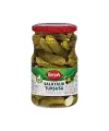 Berrak Salatalık Turşu 340 G (Farshad Zarei)