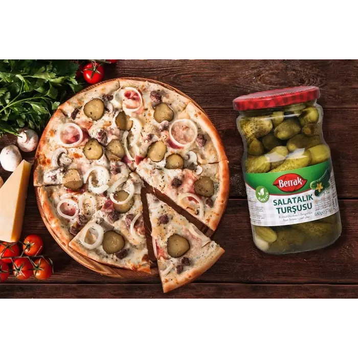 Berrak Salatalık Turşu 340 G (Farshad Zarei)