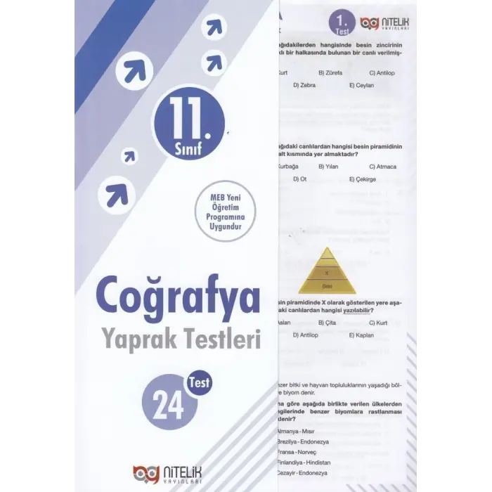 Nitelik Yayınları 11. Sınıf Coğrafya 24 Yaprak Test