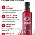 Collagen Sirkesi