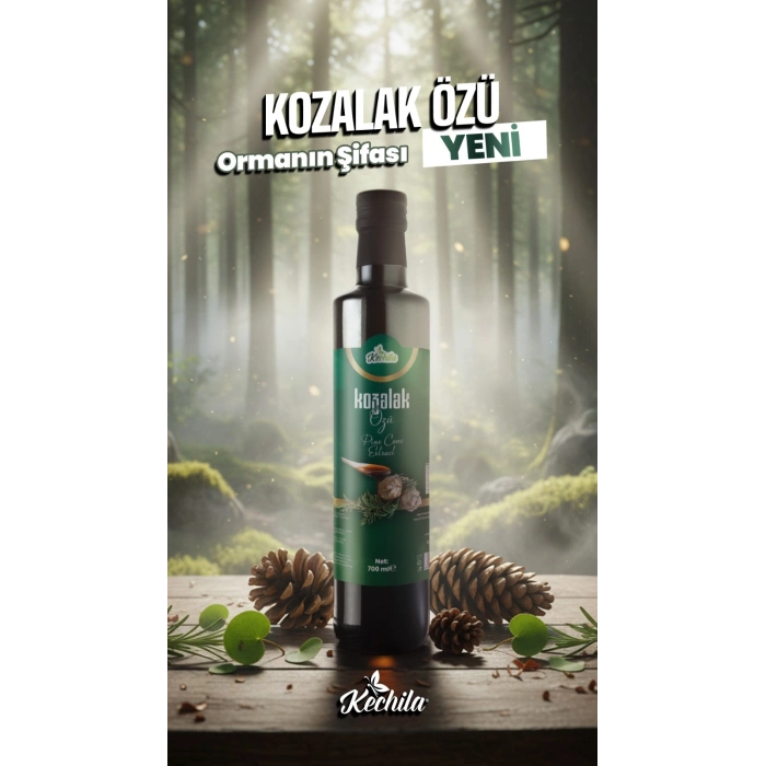 Mentollü Kozalak Özü