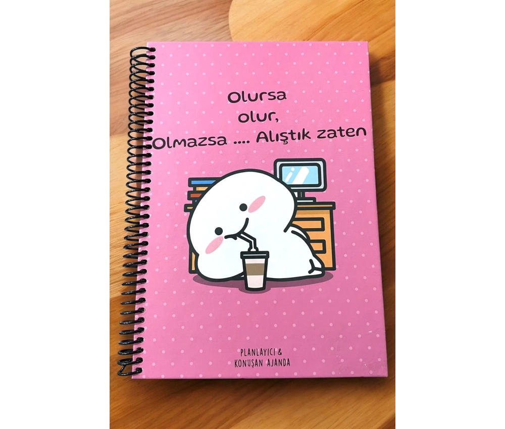 Konuşan Ajanda 17x24 Olursa Olur Olmazsa Alıştık Stickerlı Tarihsiz Haftalık Planlayıcı