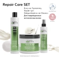 Design Look Repair Care Yıpranmış Saçlar İçin Onarıcı 3lü Set