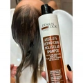 Designlook Шампунь Absolute Repair Care Molecular Set