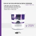 Designlook Sachet 9 Ton Vegan Bleach Powder Blue Antiyellow 400 GR