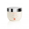 TiareColor Architect Trockene und strapazierte Haarmaske 500 ML
