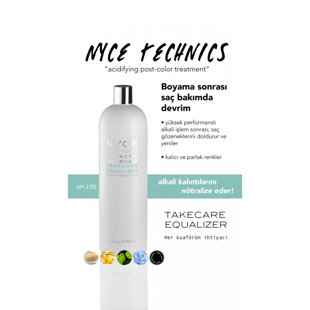 NYCE Take Care Equalizer Acidifying Post Color Treatment 1000 ml