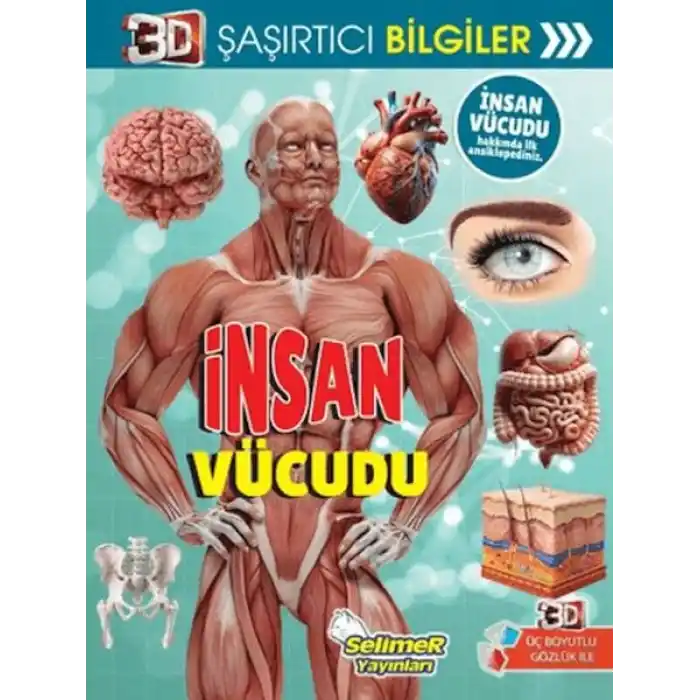 3D Şaşırtıcı Bilgiler - İnsan Vücudu