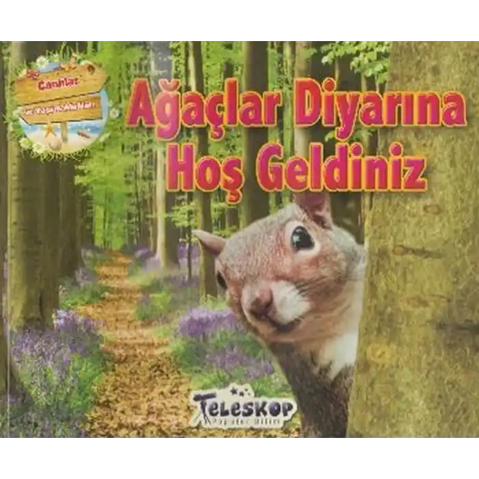 Ağaçlar Diyarına Hoş Geldiniz