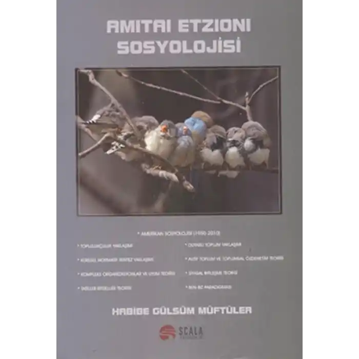 Amitai Etzioni Sosyolojisi