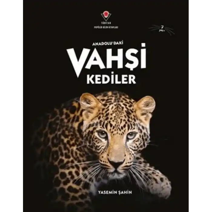 AnadoluDaki Vahşi Kediler