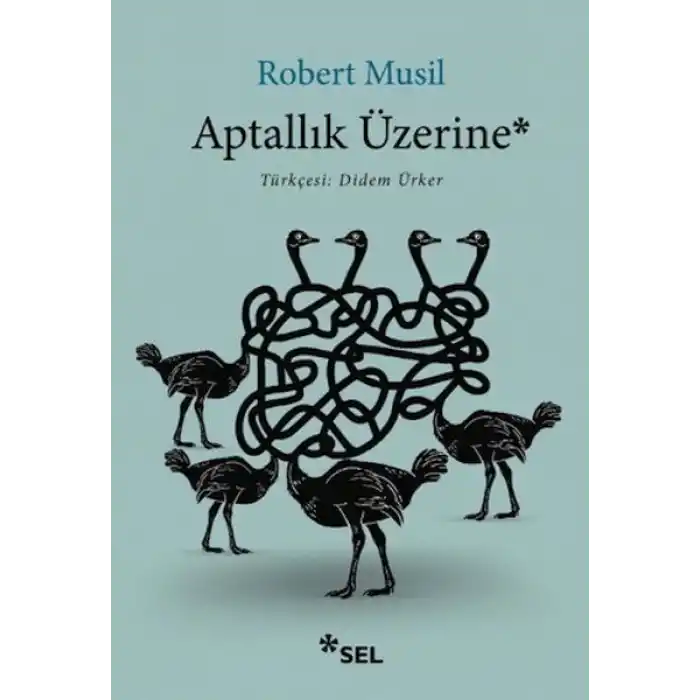 Aptallık Üzerine