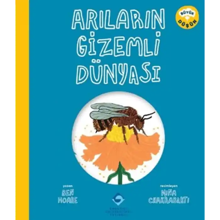Arıların Gizemli Dünyası