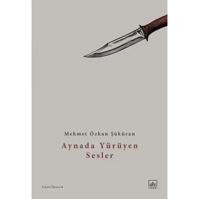 Aynada Yürüyen Sesler