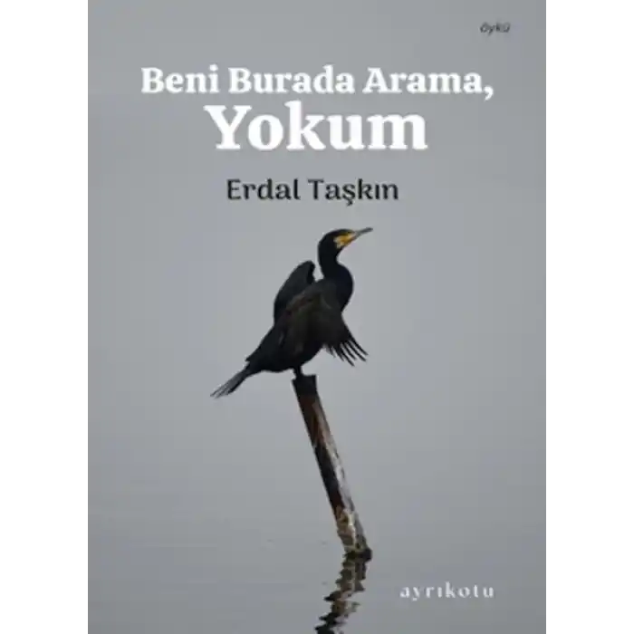 Beni Burada Arama, Yokum