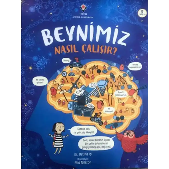 Beynimiz Nasıl Çalışır?