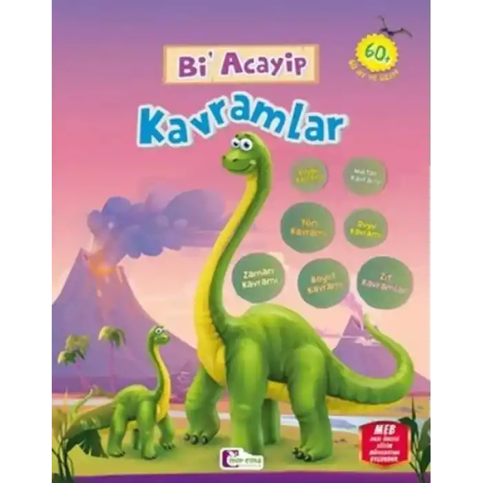 Bi Acayip Kavramlar