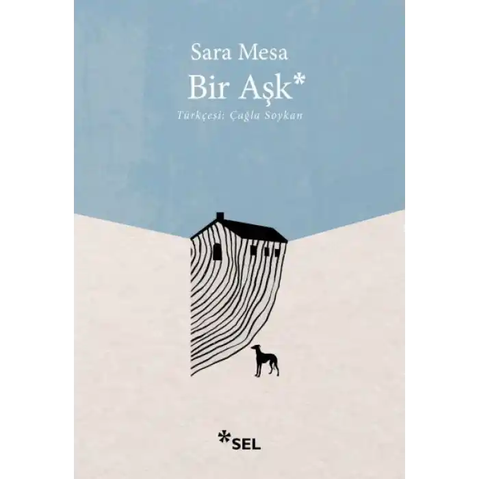 Bir Aşk