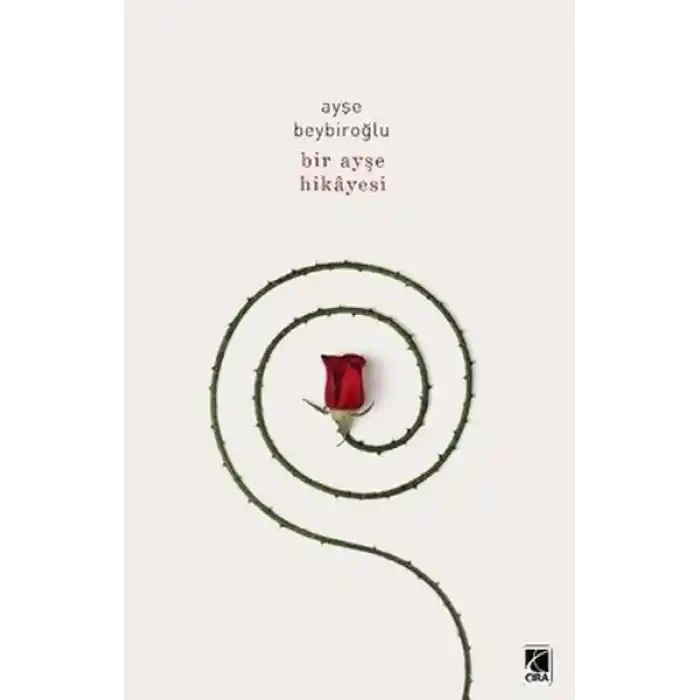 Bir Ayşe Hikayesi