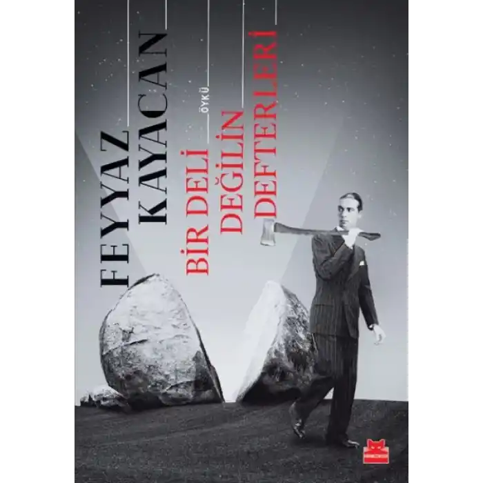 Bir Deli Değilin Defterleri