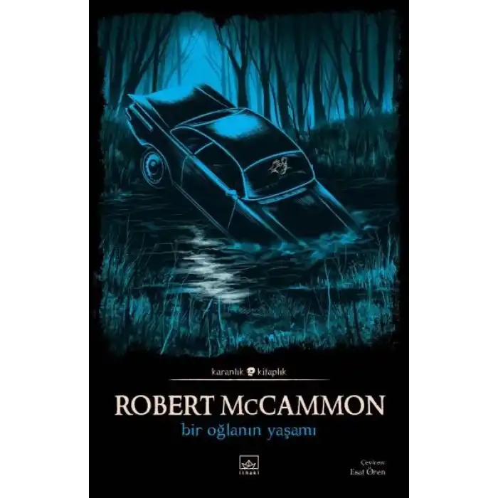 Bir Oğlanın Yaşamı