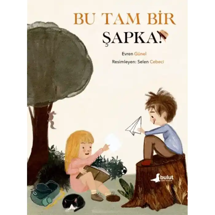 Bu Tam Bir Şapka