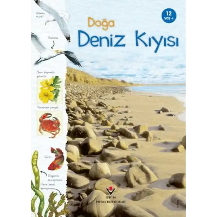 Doğa Deniz Kıyısı