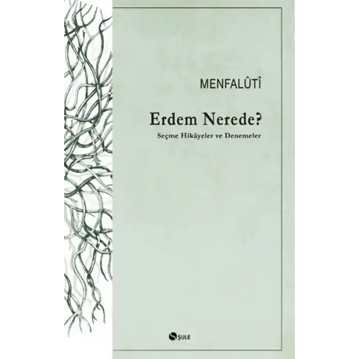 Erdem Nerede? Seçme Hikayeler ve Denemeler