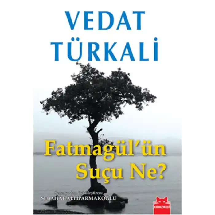 Fatmagülün Suçu Ne?