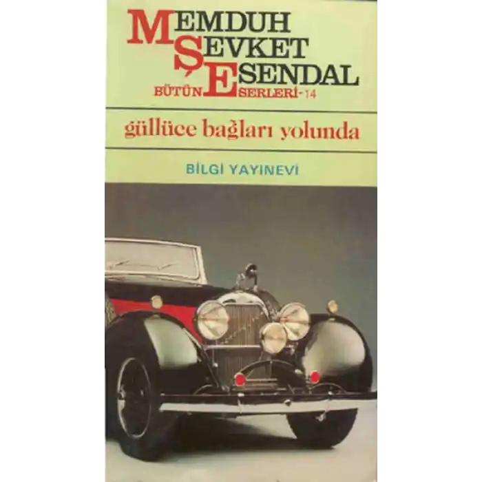 Güllüce Bağları Yolunda