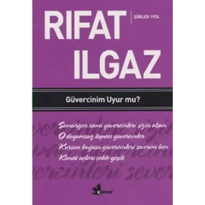 Güvercinim Uyur mu ?