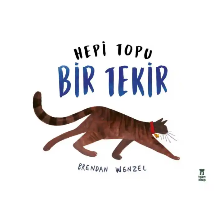 Hepi Topu Bir Tekir