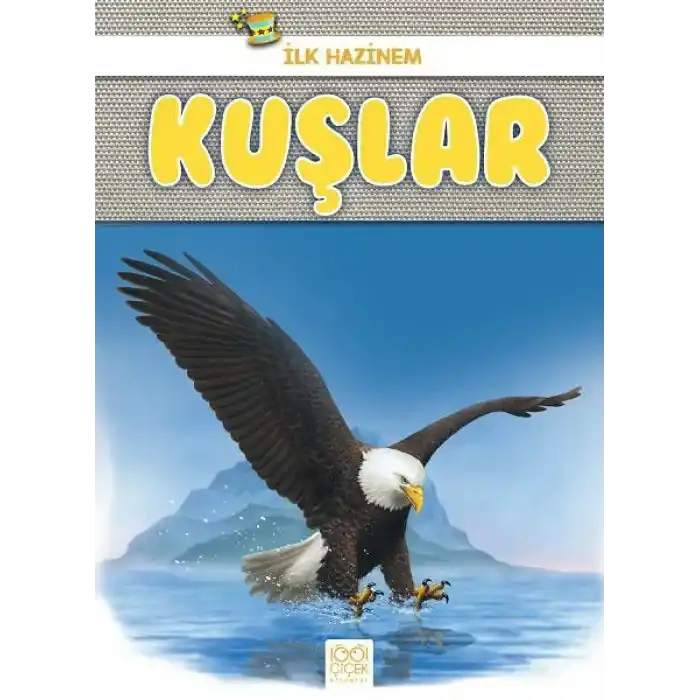 İlk Hazinem - Kuşlar
