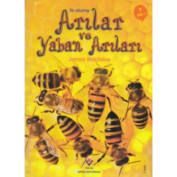 İlk Okuma - Arılar ve Yaban Arıları