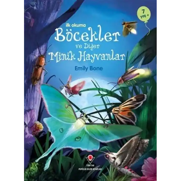 İlk Okuma - Böcekler ve Diğer Minik Hayvanlar