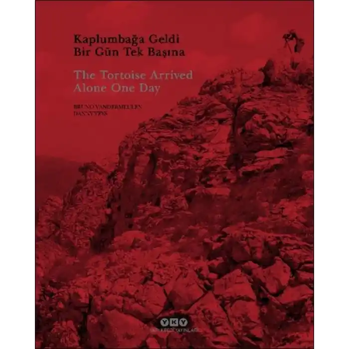 Kaplumbağa Geldi Bir Gün Tek Başına