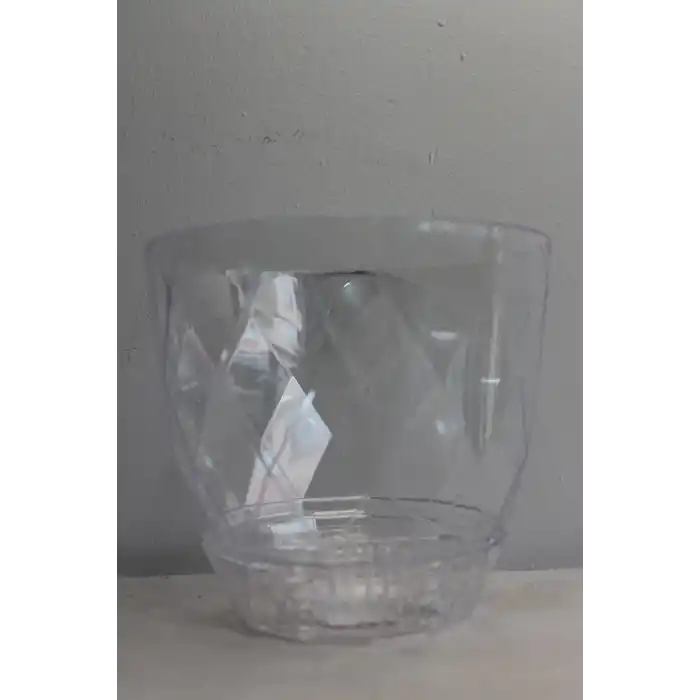 Karasu Yakamoz Orkide Saksı No 3