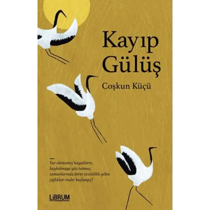 Kayıp Gülüş
