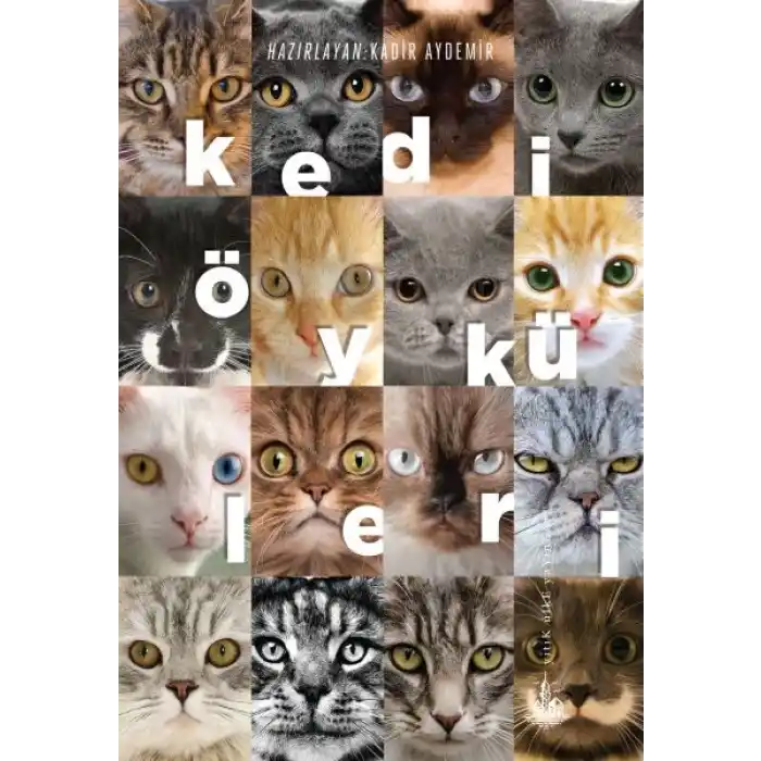 Kedi Öyküleri