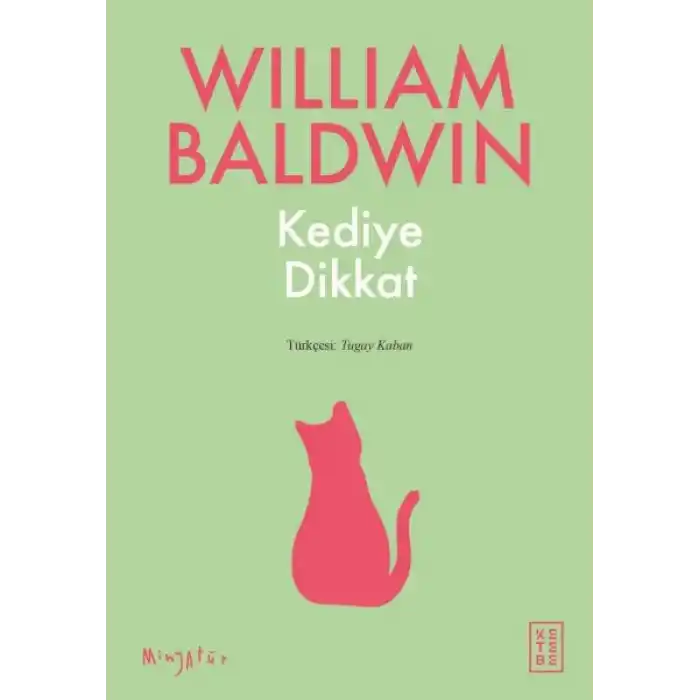 Kediye Dikkat