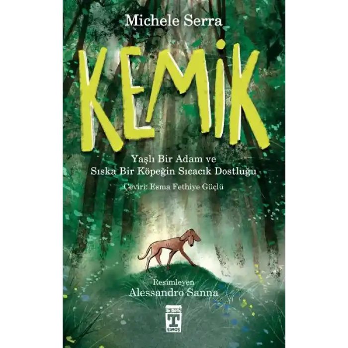 Kemik