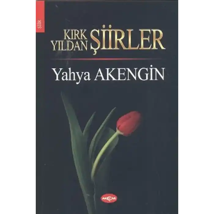 Kırk Yıldan Şiirler