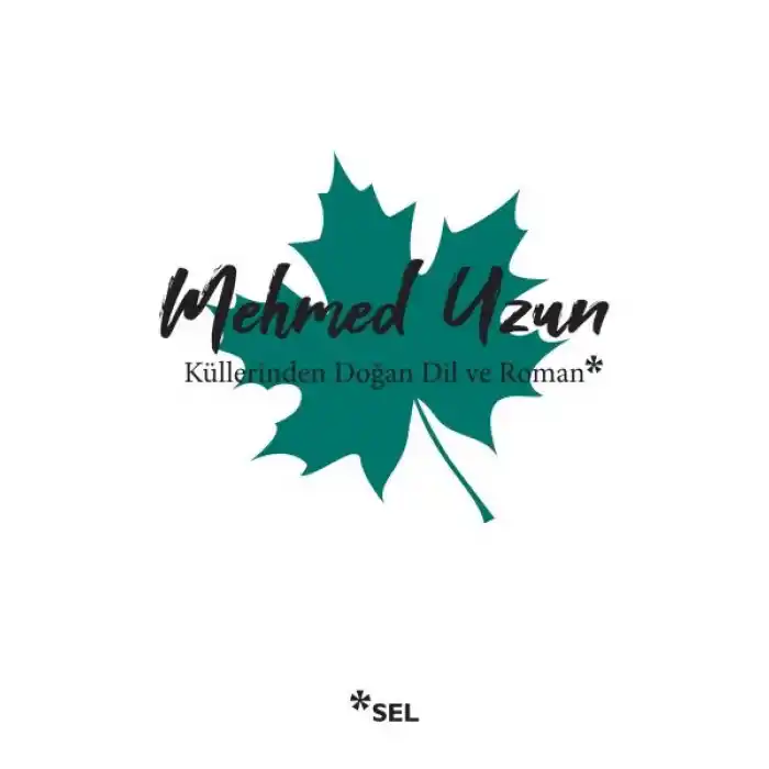 Küllerinden Doğan Dil ve Roman