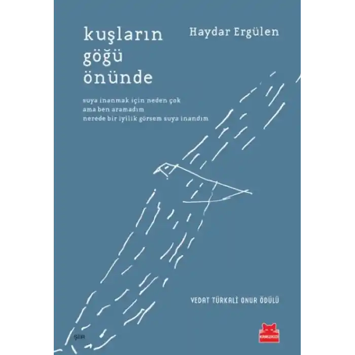 Kuşların Göğü Önünde