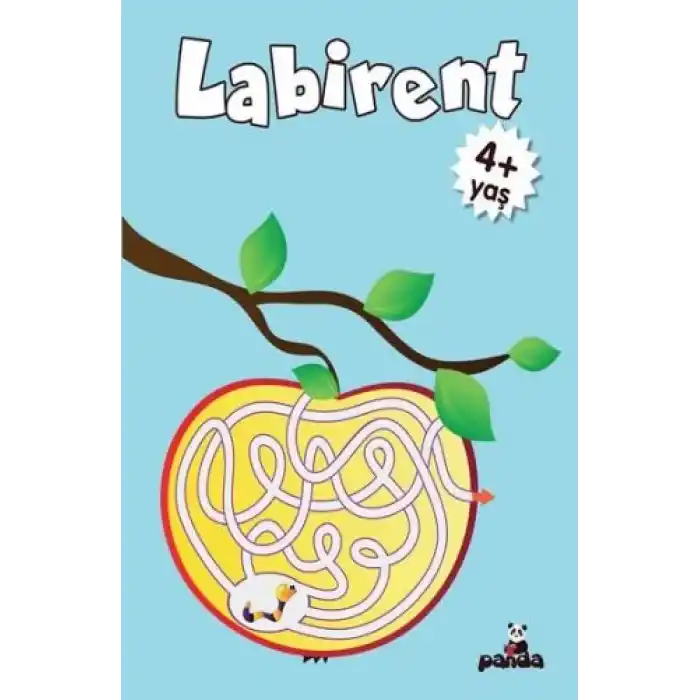 Labirent 4 Yaş