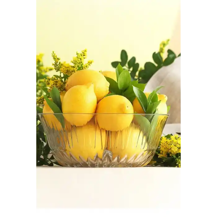 Lav Alinda Tekli Büyük Boy Salata Kasesi