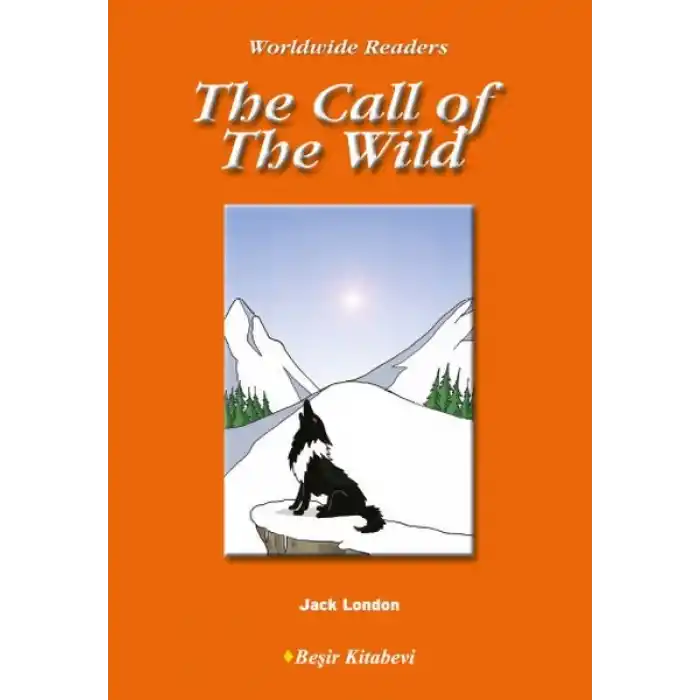 Level 4 - The Call of The Wild