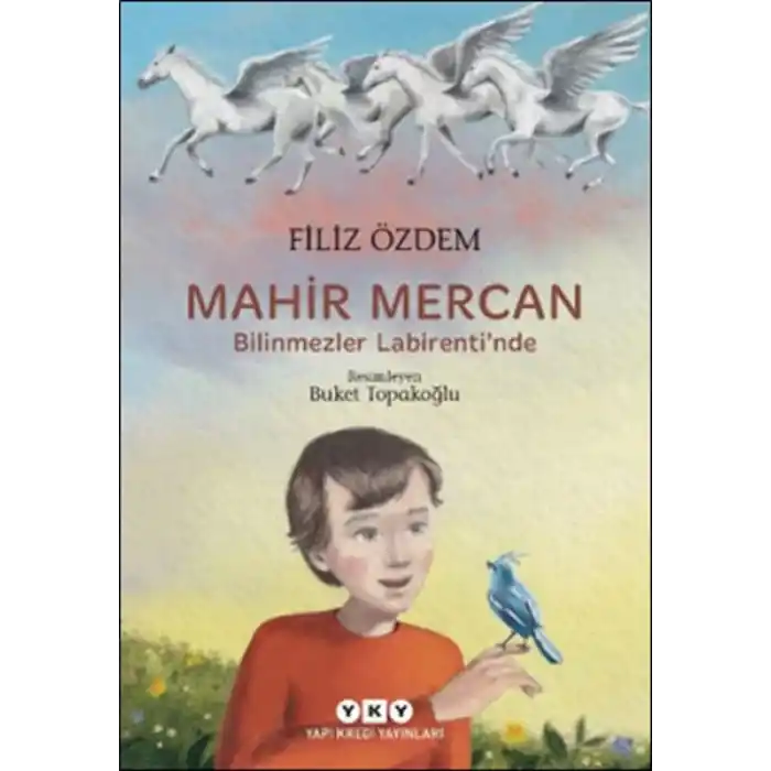 Mahir Mercan - Bilinmezler Labirenti’nde